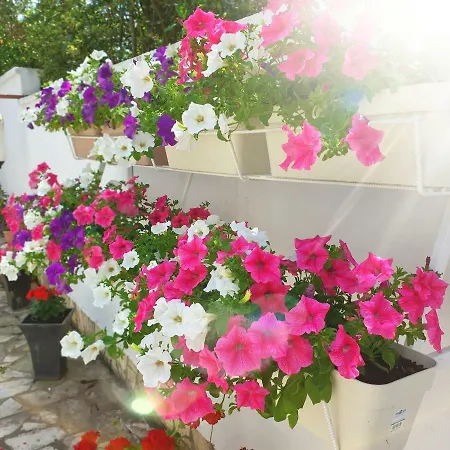 Appartement Bagaric Stari Grad (Hvar)