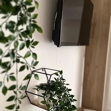 Apartament Bagaric