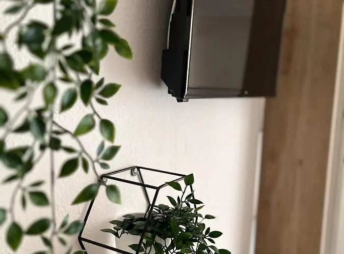 Апартаменты Bagaric